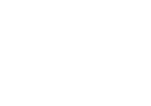 Site Logo White