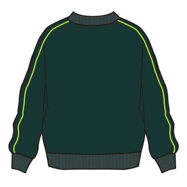 Back of Mens Custom Clothing Design Green Sweatshirt with Fashion Line