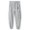 Clothing Sample of Mens Gray Baseball Pants