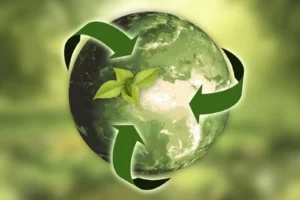 Sustainability